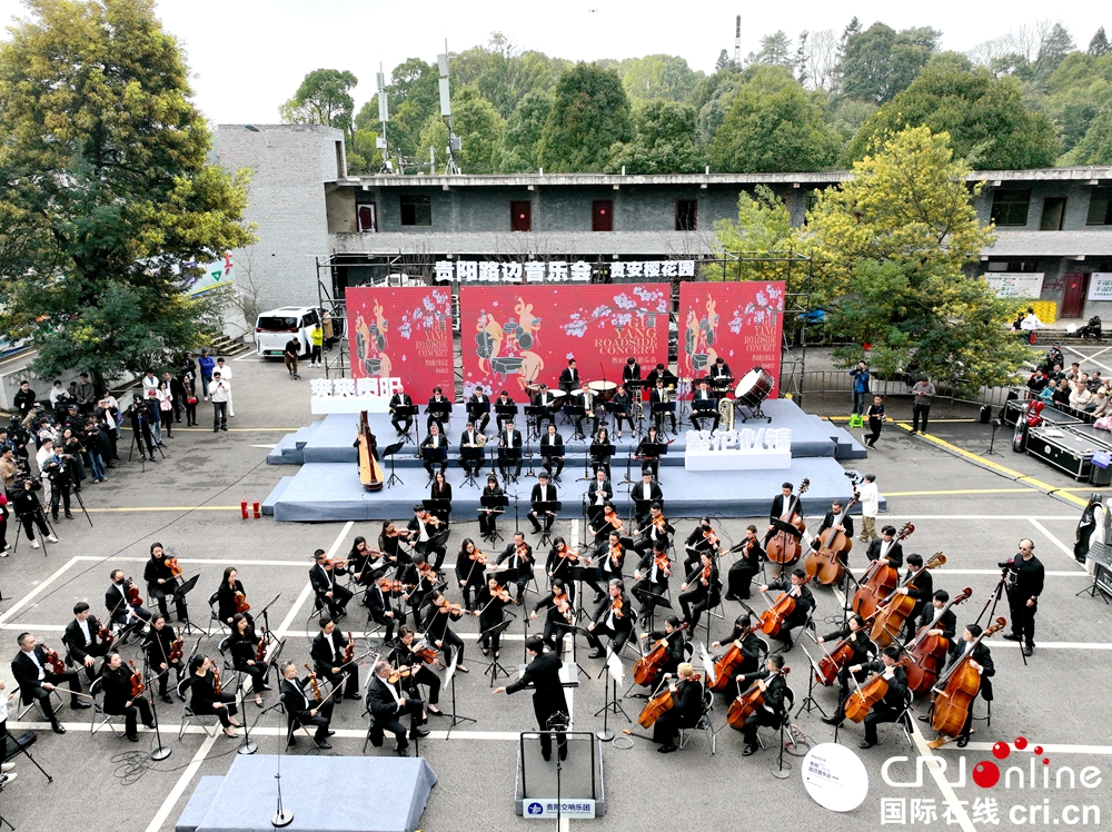 当樱花与交响乐相遇 贵阳路边音乐会·贵安樱花园浪漫开唱_fororder_音乐会现场.JPG