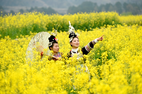 贵州黎平：万亩油菜花开引客来 加速春季旅游复苏_fororder_微信图片_20240318155122