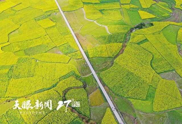 上春山 赏百花｜莫负黔地好光景 春游贵州正当时