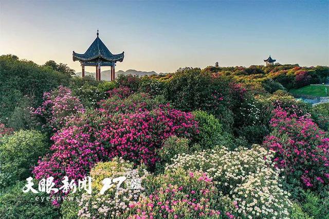 上春山 赏百花｜莫负黔地好光景 春游贵州正当时