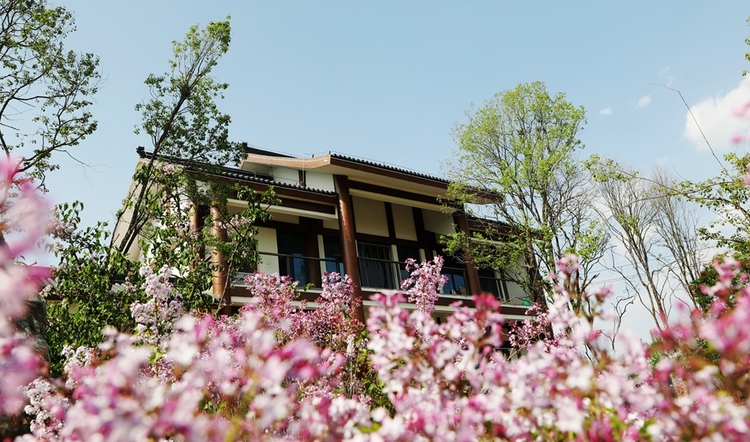 【原创】丁香花开 “香”约清水 甘肃天水推进文旅农康融合发展_fororder_8