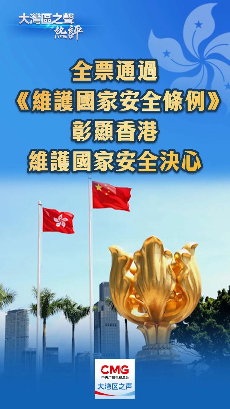 大湾区之声热评：全票通过《维护国家安全条例》，彰显香港维护国家安全决心_fororder_640