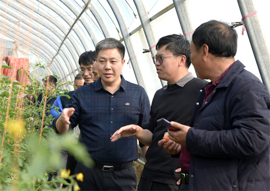 三门峡示范区阳店镇：实地观摩取“真经” 学习借鉴谋发展_fororder_参观滑县现代农业高科技示范园 摄影 彭红勇