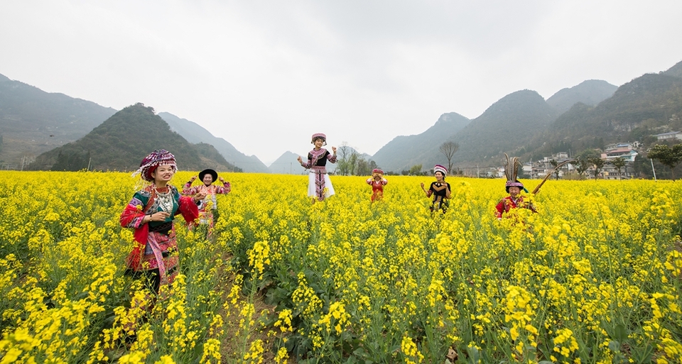 贵州水城陡箐镇梅子关村500亩油菜花进入最佳观赏期_fororder_微信图片_20240320135425