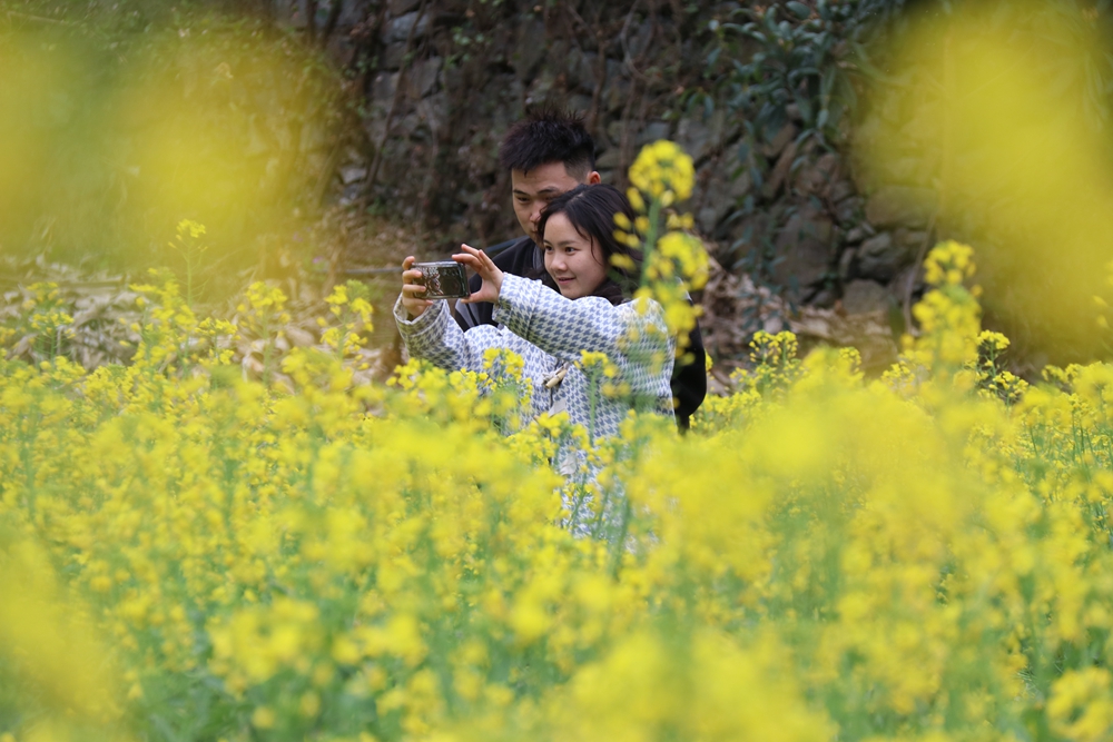 贵州雷山郎德苗寨：油菜花盛景催生“花经济”_fororder_图为游客在旅拍2.JPG