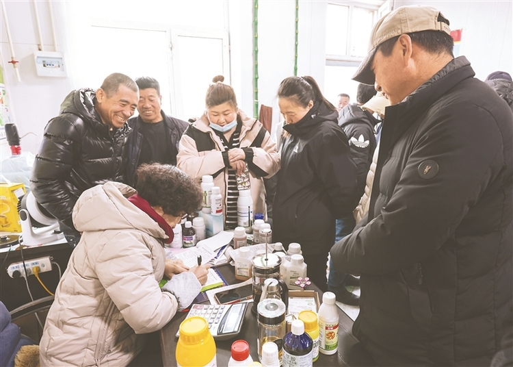 北国春来早丨哈尔滨 农资市场购销两旺