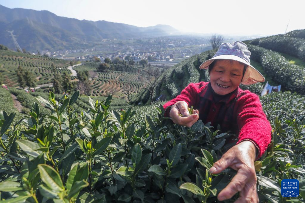 浙江杭州：茶乡“喊山祈茶” 庆祝春茶开摘