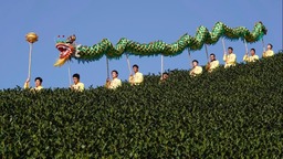 浙江杭州：茶乡“喊山祈茶” 庆祝春茶开摘