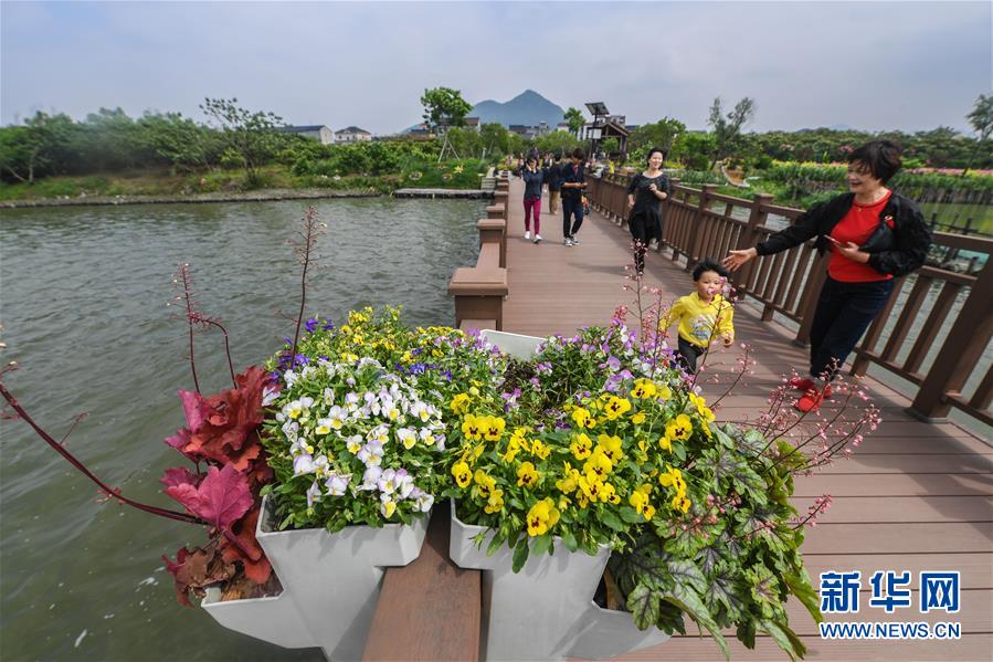 浙江塘栖镇：乡村百姓乐享春季乡村美景