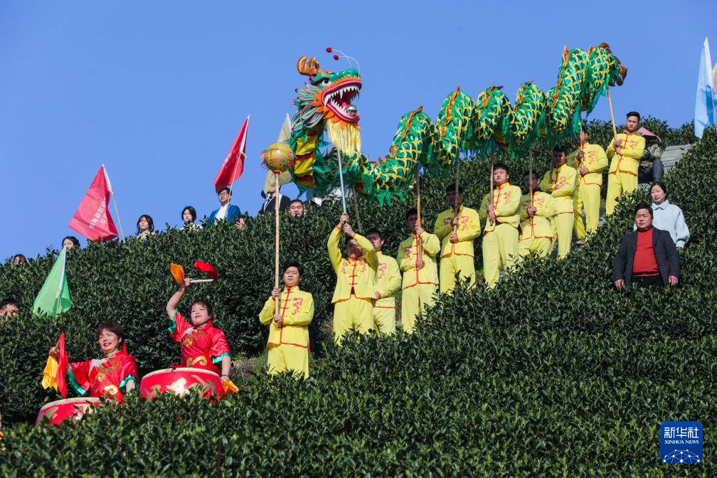 浙江杭州：茶乡“喊山祈茶” 庆祝春茶开摘