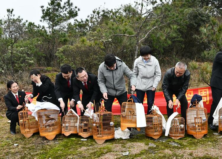 广西多措并举为候鸟迁徙保驾护航 八桂大地真正成为“候鸟天堂”_fororder_20240323_124044