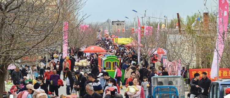 东风暖，樱花灿 北市的春日“盛宴”正等你 2024花开北市樱花旅游节开幕