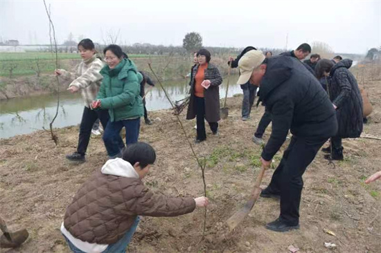 盐城大丰区大中街道聚力推动绿色发展积蓄更大优势_fororder_图片3