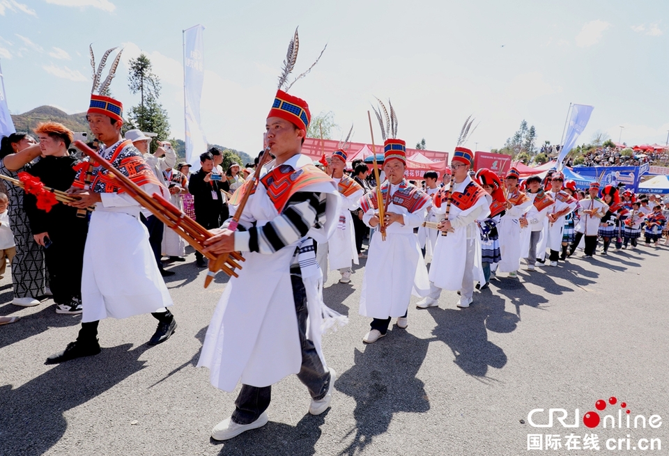 贵州钟山：万人齐聚跳花树祭祖先_fororder_微信图片_20240325164119