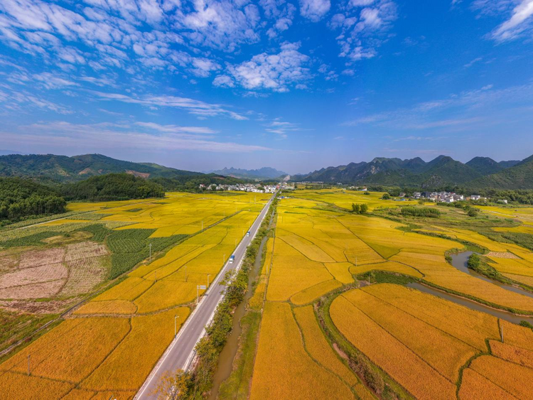 广西7地入选“四好农村路”全国示范县_fororder_图片3