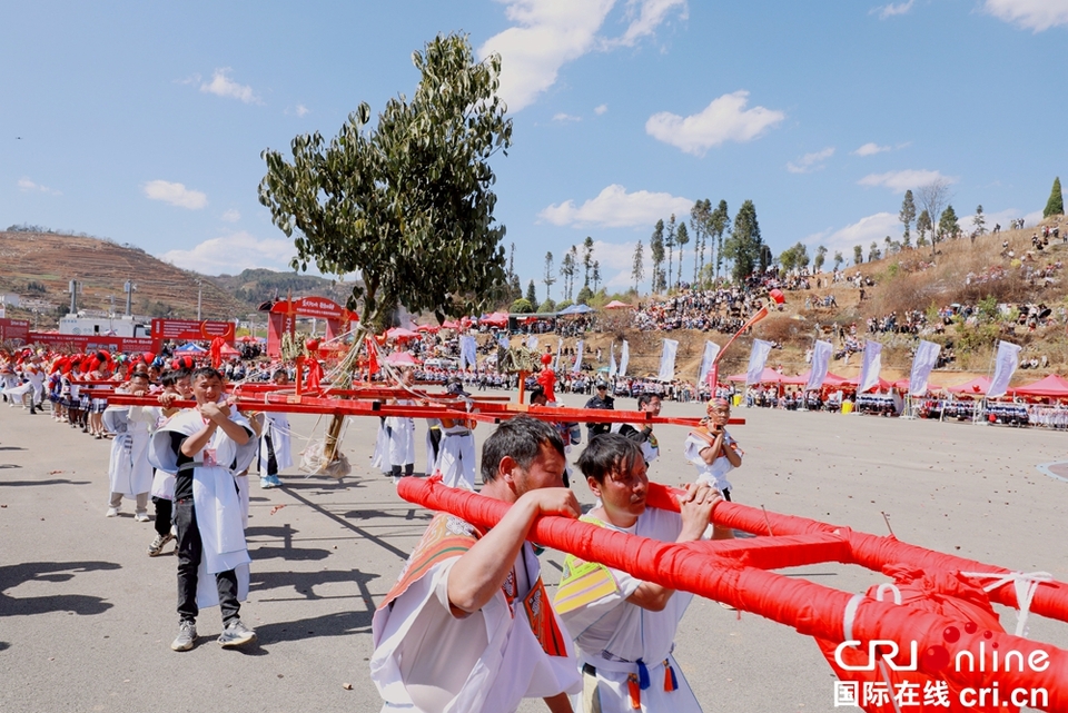 贵州钟山：万人齐聚跳花树祭祖先_fororder_微信图片_20240325164111