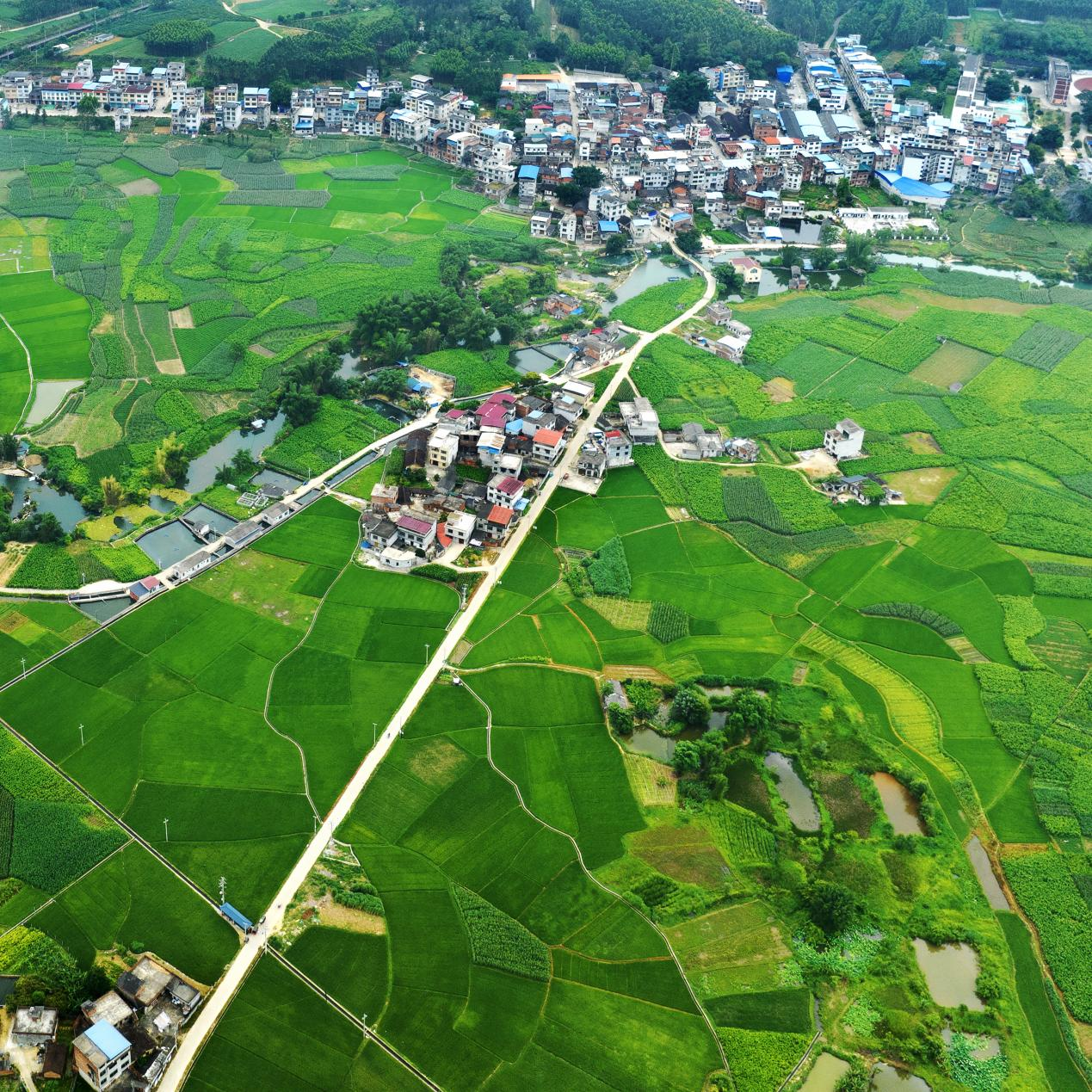 广西7地入选“四好农村路”全国示范县_fororder_图片2