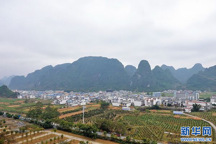 “文旅+”点亮广西旅游经济“开门红”