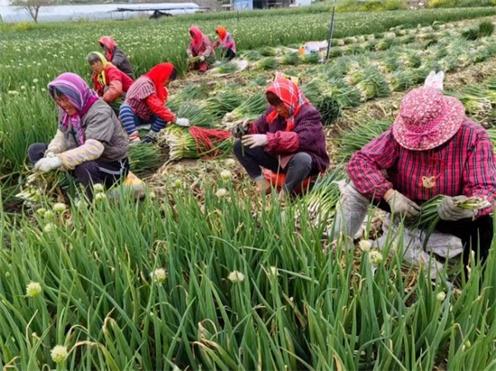 泰州兴化大垛：保障耕地地力保护补贴精准发放_fororder_图片9