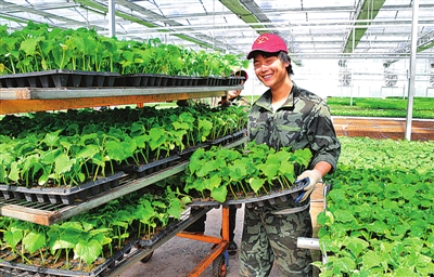 农业大庆捧起“生态金碗”