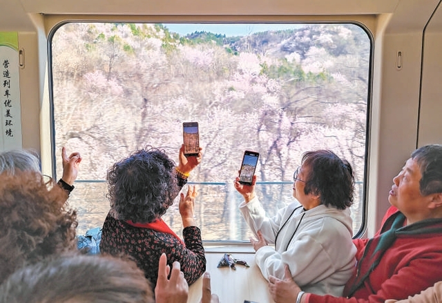 “开往春天的列车”周末迎客流高峰 坐着火车穿越烂漫花海