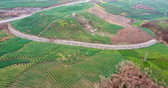 贵州六盘水：田畴织锦绣 沃野绘“丰”景_fororder_微信图片_20240329161146