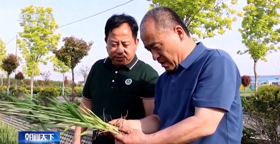 劳动者之歌丨在农田里办公 这个“土”专家，中！