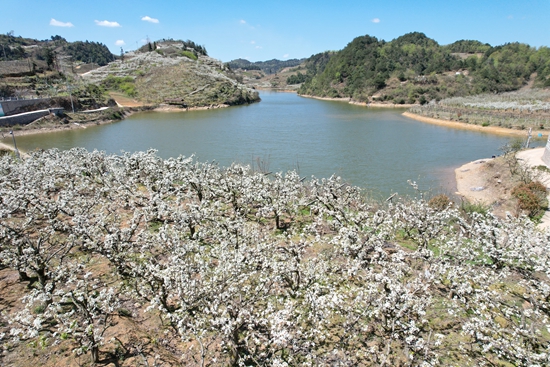 贵州修文：“春风十里 梨花游趣”文旅系列活动精彩纷呈_fororder_微信图片_20240401154348