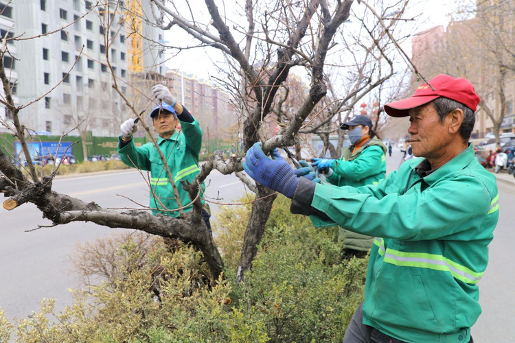 河北平泉：推进园林绿化 提升城市“颜值”_fororder_图片1