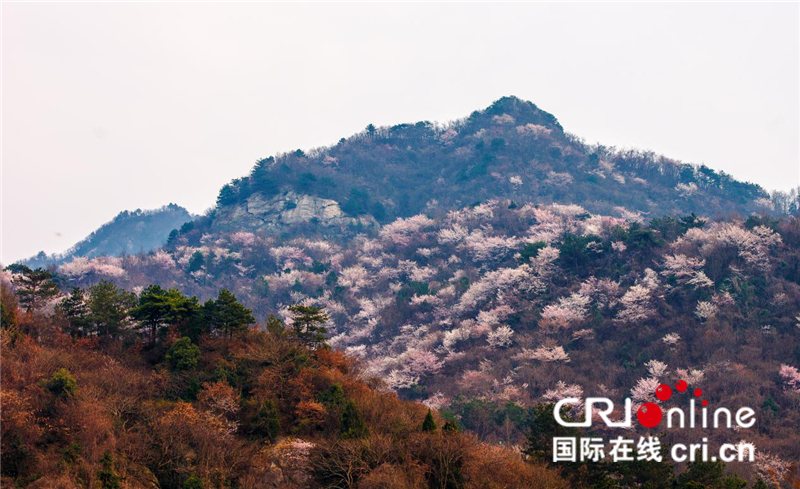 【焦点图】灵秀湖北 麻城龟峰山