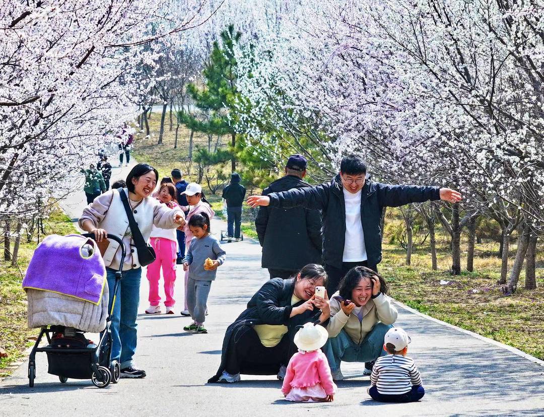 大连：林花皆似锦，尽是看花人