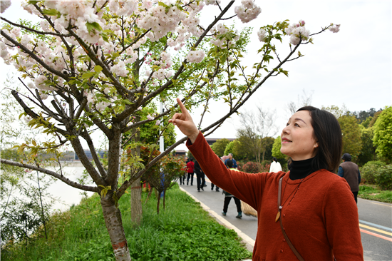 信阳市潢川县举办第六届“浪漫樱花·乡约连岗”文化旅游节_fororder_图片6