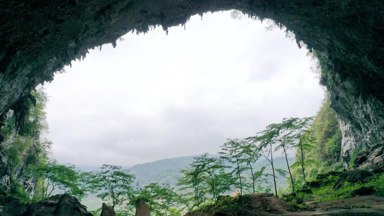 中外大咖共商广西凤山攀岩旅游发展大计_fororder_图片3