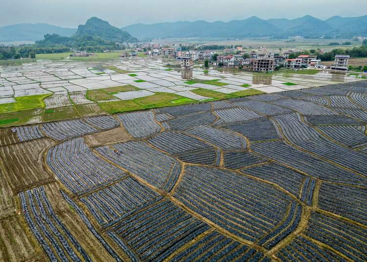 贺州市八步区：绘好春耕图 孕育丰收景_fororder_微信图片_20240409102654