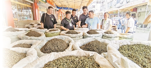 茶香飘两岸 情谊深且长