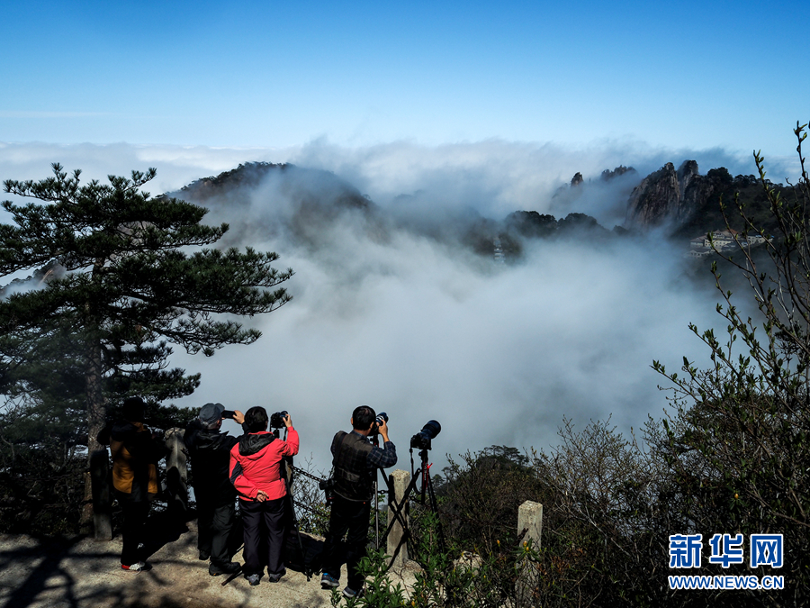 四月黄山现云海 不管晴雨冬和夏