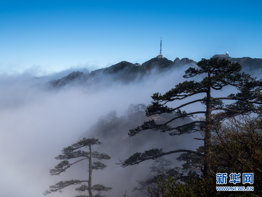 四月黄山现云海 不管晴雨冬和夏