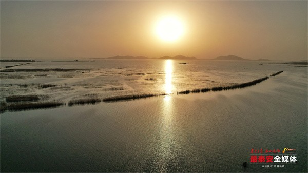 山东泰安：初夏的东平湖 夕阳如诗如画