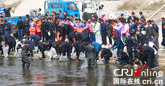 03【吉林】【供稿】【CRI看吉林（标题）】【生态吉林（标题）】【关东黑土（延边）】【移动版（图）】40万尾大麻哈鱼苗放流图们江