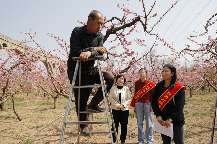 图片默认标题_fororder_向桃农普及法律知识 摄影 颜丽媛