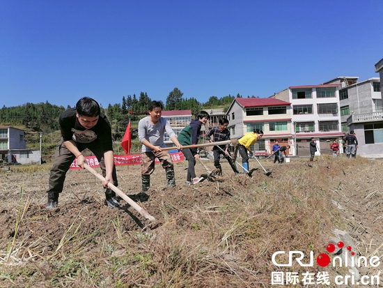 贵州天柱：党旗飘扬在田间地头