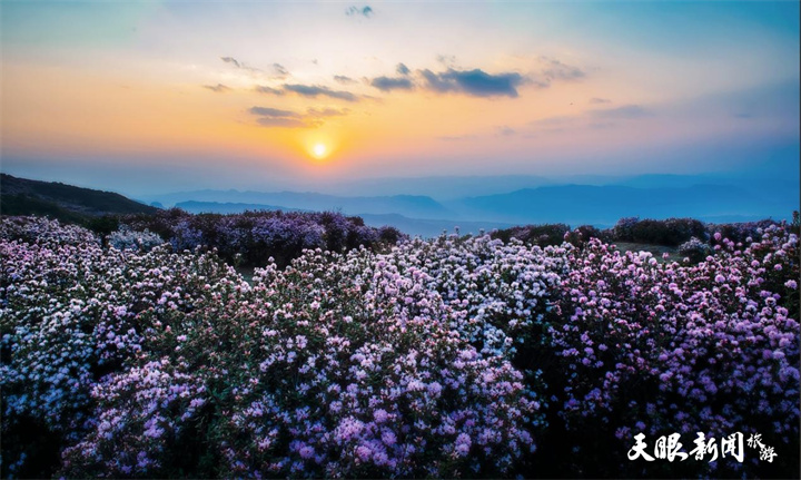 游山！玩水！get贵州山地旅游新玩法