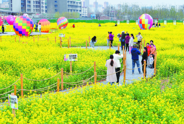 石家庄：怡人风景美不胜收 宜居水平全面提升