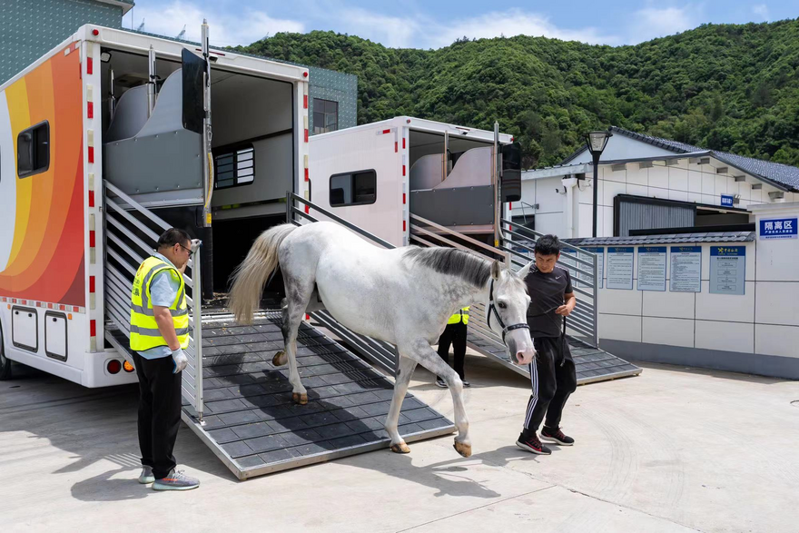 Second International Equestrian Open Will Kick off in June in Hangzhou Tonglu with Racehorses Touching down in Tonglu_fororder_图片3