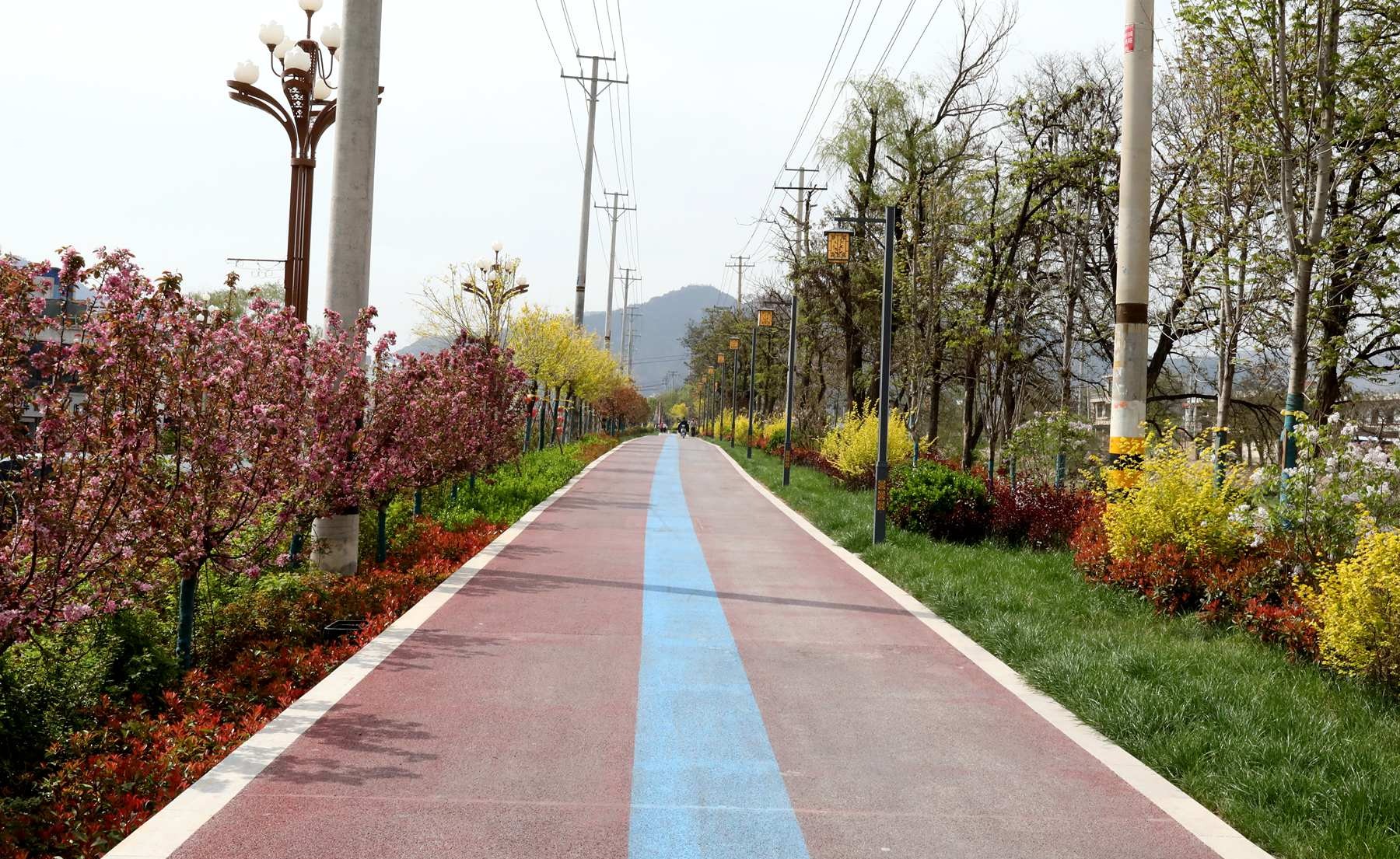 【原创】天水甘谷：打造城市绿化景观 提升城市绿化品质