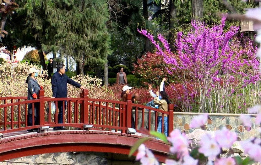 【原创】天水秦州：龙城日暖万物苏 春风十里花满城