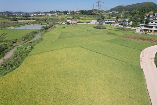 贵州修文：高标农田建设 “粮田”变 “良田”助增收_fororder_微信图片_20240418163915