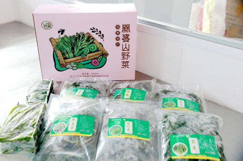 黑龙江省佳木斯市汤原县：山野菜变身“致富菜”_fororder_图片6