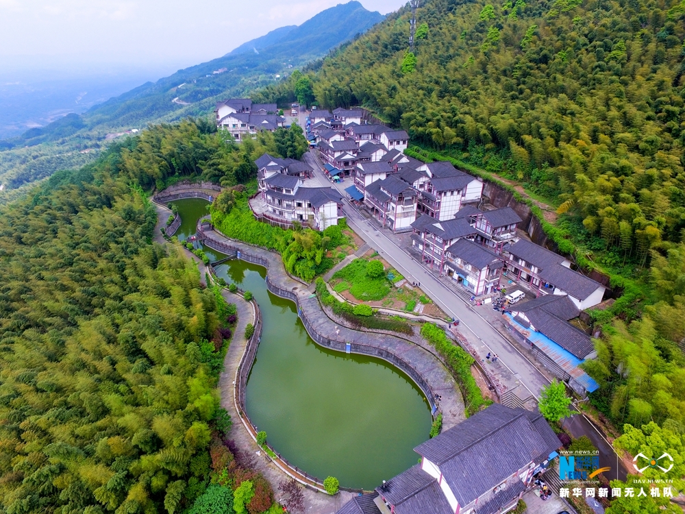 航拍重庆茶山竹海 青翠欲滴春意盎然