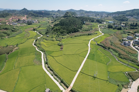 贵州修文：高标农田建设 “粮田”变 “良田”助增收_fororder_微信图片_20240418163907